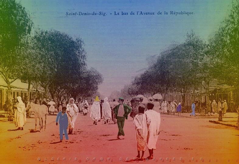 SAINT DE DENIS DU SIG LE BAS DE L AVENUE DE LA REPUBLIQUE.jpg